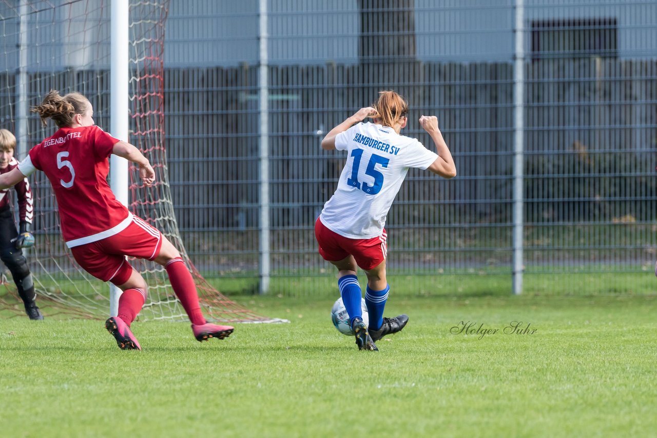 Bild 220 - F Egenbuettel - Hamburger SV 2 : Ergebnis: 0:8